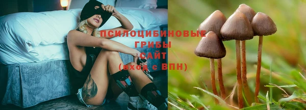твердый Баксан