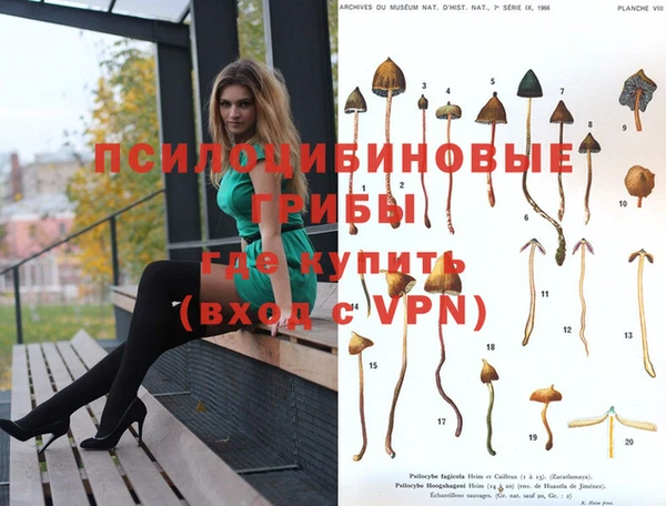 твердый Баксан